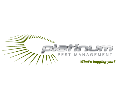 branding_tagline_creative_copywriting_Platinum_Pest_Management